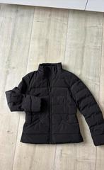 Airforce jas nooit gedragen maat S, Kleding | Dames, Jassen | Winter, Airforce, Zwart, Nieuw, Ophalen of Verzenden