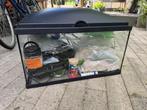 Aquarium met alle toebehoren, Dieren en Toebehoren, Vissen | Aquaria en Toebehoren, Ophalen, Gebruikt, Leeg aquarium