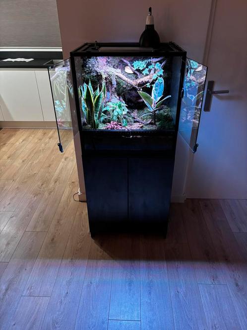 Terrarium 60x45x60 te koop, Dieren en Toebehoren, Reptielen en Amfibieën | Toebehoren, Zo goed als nieuw, Terrarium of Paludarium