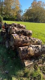 Dennen Stamhout - Zelf Laden & Zagen, Minder dan 3 m³, Ophalen of Verzenden, Overige houtsoorten, Stammen