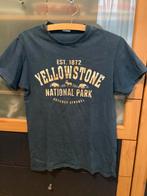 T-shirt van Yellowstone National Park, Ophalen of Verzenden, Zo goed als nieuw, Jongen of Meisje, Shirt of Longsleeve
