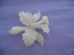 Broche Krijtkleur Orchidee Bloem Vintage, Ophalen of Verzenden, Overige materialen, Broche