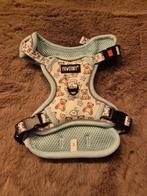 Paswstory tuig bear hugs, Ophalen, Nieuw