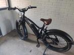 Radrhino 5 / Radrhino 6+ ebike en diverse radbike onderdelen, Gebruikt, 50 km per accu of meer, 55 tot 59 cm, Ophalen