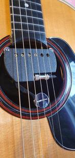 Akoestische gitaar met 2 elementen., Muziek en Instrumenten, Ophalen of Verzenden, Zo goed als nieuw, Overige typen, Met koffer