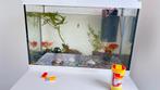 Aquarium met 4 grote vissen en toebehoren, Dieren en Toebehoren, Vissen | Aquaria en Toebehoren, Ophalen of Verzenden, Zo goed als nieuw
