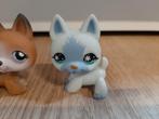 Littlest pet shop hond 2x, Verzamelen, Poppetjes en Figuurtjes, Ophalen of Verzenden