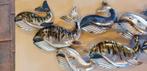 WALVISSEN / wanddecoratie / OPRUIMING, Huis en tuin decoratie Marie, Nieuw, Info@huisentuindecoratiemarie.nl, Peize