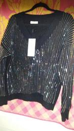 Nieuw  v hals bling pailletten truitje 44, Kleding | Dames, Truien en Vesten, Ophalen of Verzenden, Nieuw, Maat 42/44 (L), Zwart