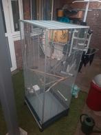 Vogelkooi te koop, Dieren en Toebehoren, Ophalen, Metaal, Vogelkooi