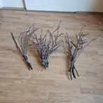 ZGAN gedroogde walnoottakken (3 x), Ophalen of Verzenden, Zo goed als nieuw