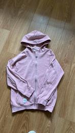 Vest h&m 146/152, Kinderen en Baby's, Kinderkleding | Maat 146, Ophalen of Verzenden, Zo goed als nieuw, Meisje, Trui of Vest