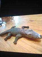Krokodil, Ophalen of Verzenden, Zo goed als nieuw, Terrarium of Paludarium