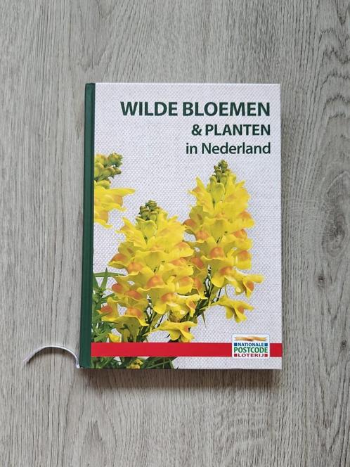 Wilde bloemen en planten in Nederland - Neil Fletcher, Boeken, Natuur, Nieuw, Bloemen, Planten en Bomen, Ophalen of Verzenden