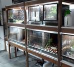 Terrarium terraria diverse afmetingen, Dieren en Toebehoren, Ophalen, Gebruikt, Terrarium of Paludarium