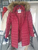 Tommy Hilfiger Winterjas Maat S - Perfecte Staat!, Ophalen of Verzenden, Zo goed als nieuw, Maat 36 (S), Rood