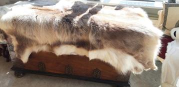 Prachtige groot rendier eland vacht bont  beschikbaar voor biedingen