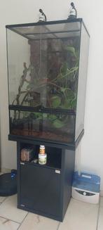 Exoterra terrarium inclusief meubel en toebehoren, Dieren en Toebehoren, Reptielen en Amfibieën | Toebehoren, Ophalen