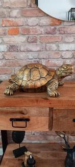 Grote 40cm Goud/Zwart Schildpad Beeld🌹NIEUW🌹, Ophalen of Verzenden, Nieuw, Dier