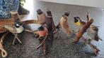 Prachtige houten vogels te koop, prijs is per stuk, Ophalen of Verzenden, Vogel, Beeldje of Figuurtje