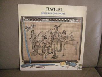 Flavium – Pluggin' In Your Socket beschikbaar voor biedingen