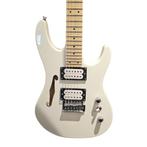 SX Thinline 8687 Electrische Gitaar White, Flex Ltd., Gebruikt, https://flex.com/contact-us, Nobelstraat 10, 5807 GA Oostrum LB, Limburg, Nederland