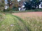 Prachtig natuur hooi., Ophalen of Verzenden, Overige soorten