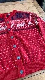 Noorse vest mt 38, Kleding | Dames, Truien en Vesten, Ophalen, Zo goed als nieuw, Maat 38/40 (M), Blauw