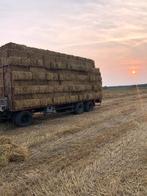 Kleine baaltjes stro, Dieren en Toebehoren, Ophalen of Verzenden, Vee