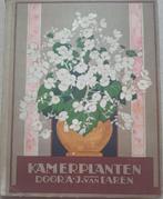 Verkade album Kamerplanten 1 plaatje ontbreekt, Gelezen, A.J. van Laren, Ophalen, Plaatjesalbum