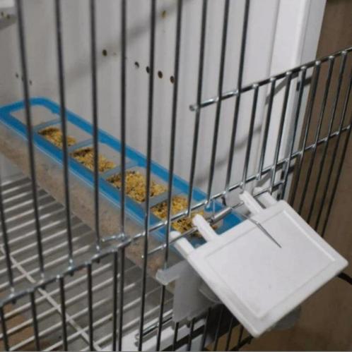 Apollo Feeder moldes ave, Dieren en Toebehoren, Vogels | Toebehoren, Nieuw, Kooi-accessoires, Verzenden