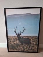 Nieuw schilderij - Hert - 70x50 cm, Ophalen