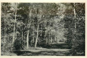 (387-219-013) Ermelo bospad beschikbaar voor biedingen