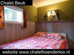Chalets op de Veluwe huren, nu 10% zomervakantie korting, In bos, 2 slaapkamers, Tv, Recreatiepark