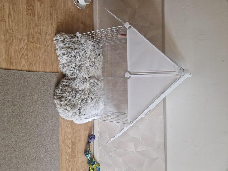 Honden of katten hok / moduele ren, Dieren en Toebehoren, Hondenhokken, Zo goed als nieuw, Hondenhok, Ophalen of Verzenden