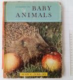 Introducing Baby Animals - Alan C. Jenkins, Boeken, Gelezen, Ophalen of Verzenden, Alan C. Jenkins, Natuur algemeen