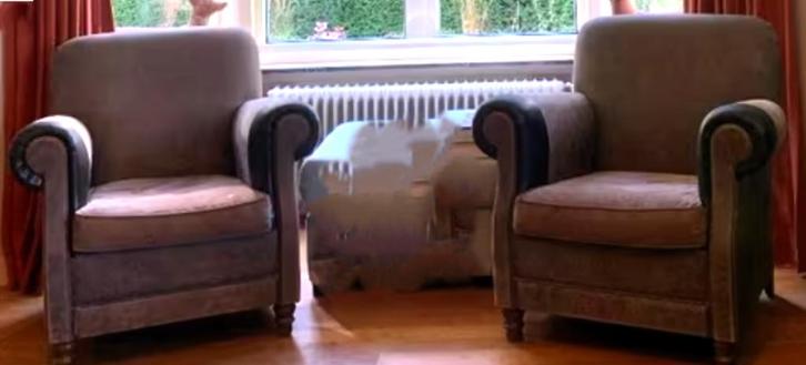 Muylaert fauteuils 2 stuks leder, Huis en Inrichting, Fauteuils, Gebruikt, Leer, 50 tot 75 cm, 75 tot 100 cm, Ophalen