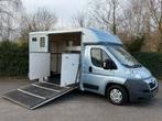 Peugeot Boxer paardenwagen Horsetruck Equi Trek paardenbus, Overige materialen, Gebruikt, Overige typen, Ophalen of Verzenden