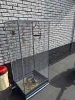 Kamervoliere, Dieren en Toebehoren, Vogels | Hokken en Kooien, Ophalen, Vogelkooi