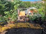 Gezocht 10 Flagstones voor mijn tuintje, Tuin en Terras, Overige Tuin en Terras, Ophalen