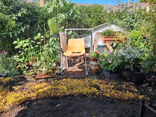 Gezocht 10 Flagstones voor mijn tuintje, Tuin en Terras, Overige Tuin en Terras, Ophalen