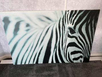 Canvas zebra Ikea Pjatteryd 78x118cm beschikbaar voor biedingen