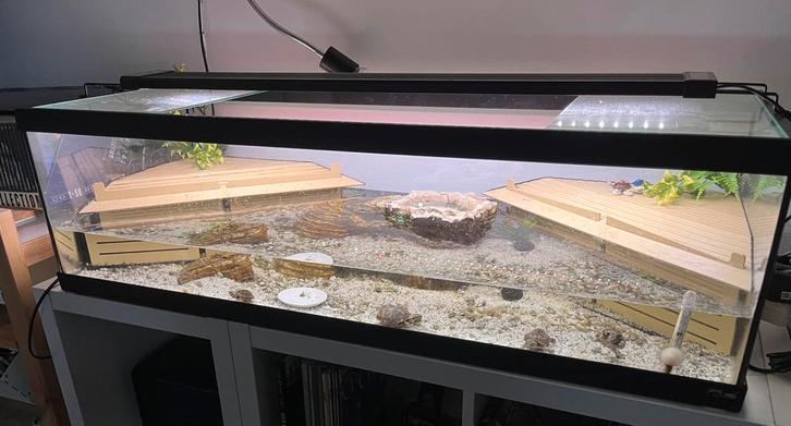 Schildpadden aquarium/bak tortum 100 met alles erop en eraan, Dieren en Toebehoren, Reptielen en Amfibieën | Toebehoren, Zo goed als nieuw