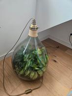 Plantenterrarium / ecosysteem, Ophalen, Gebruikt