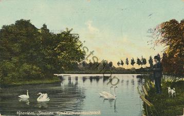Haarlem - Zwanen - Haarlemerhoutpark [KRST005-3671 beschikbaar voor biedingen