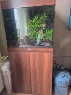 Juwel 120 liter aquarium, Dieren en Toebehoren, Vissen | Aquaria en Toebehoren, Ophalen, Zo goed als nieuw, Grind, Zand of Voedingsbodem