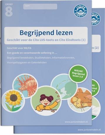 4 Oefenboeken groep 8 rekenen + begrijpend lezen beschikbaar voor biedingen