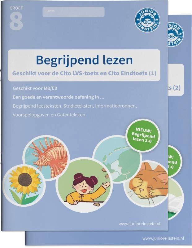 4 Oefenboeken groep 8 rekenen + begrijpend lezen, Boeken, Schoolboeken, Zo goed als nieuw, Overige niveaus, Ophalen