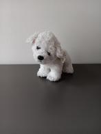 TY Beanie Babies ijsbeer knuffel met label, Ophalen of Verzenden, Zo goed als nieuw, Hond