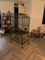 Vogelkooi te koop, Ophalen, Gebruikt, Metaal, Vogelkooi